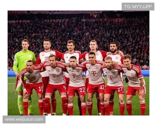 小猪助威拜仁世俱杯：延续全胜传奇，剑指冠军！(3)